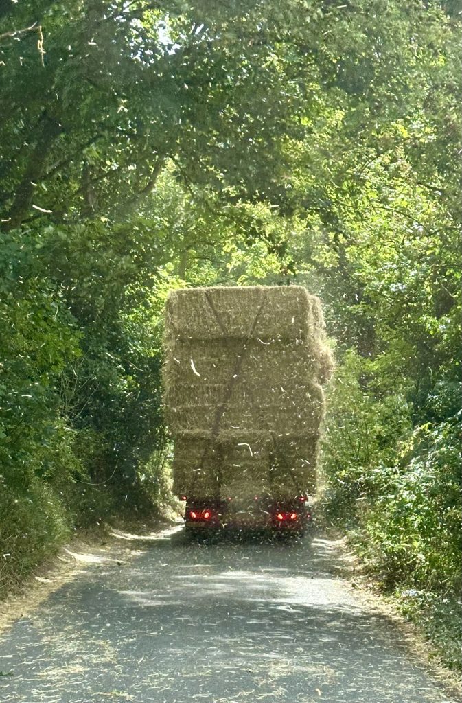 Large lorry of harvest straw leaving Turkdean heading down the Beeches and towards Wales eventually in September 2025
